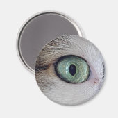 "Die Augen haben es" Katzenaugenmagnet Magnet (Vorderseite/Rückseite)