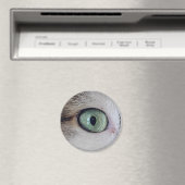 "Die Augen haben es" Katzenaugenmagnet Magnet (In Situ (Geschirrspüler))