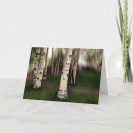 Die Augen von Aspen sind auf uns Karte