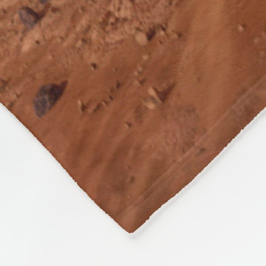 Die Ausdauer lief sicher auf den Mars. Fleecedecke (Ecke)