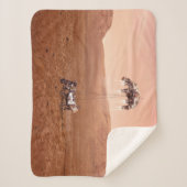 Die Ausdauer lief sicher auf den Mars. Sherpadecke (Vorderseite)