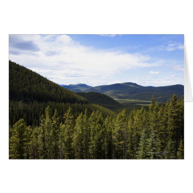 Die Ausläufer von Alberta Kanada. (Vorderseite (Horizontal))