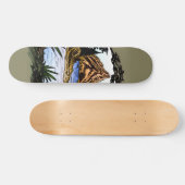 Die Außenanlagen Skateboard (Horizontal)