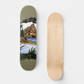 Die Außenanlagen Skateboard (Vorderseite)