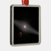 Die Aussicht aus der Nähe Silbernes Ornament (Rechts)