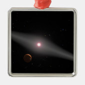 Die Aussicht aus der Nähe Silbernes Ornament (Vorne)