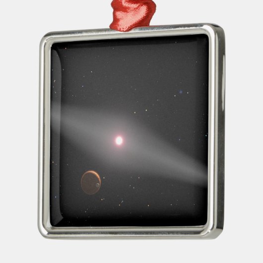 Die Aussicht aus der Nähe Silbernes Ornament (Links)