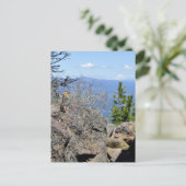 Die Aussicht genießen Postkarte (Stehend Vorderseite)