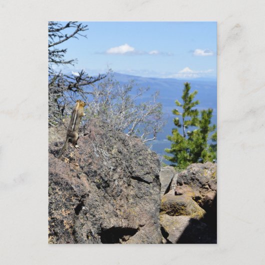 Die Aussicht genießen Postkarte (Vorderseite)