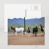 Die Aussicht Postkarte (Vorne/Hinten)