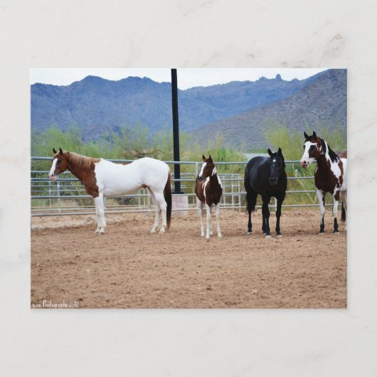 Die Aussicht Postkarte (Vorderseite)