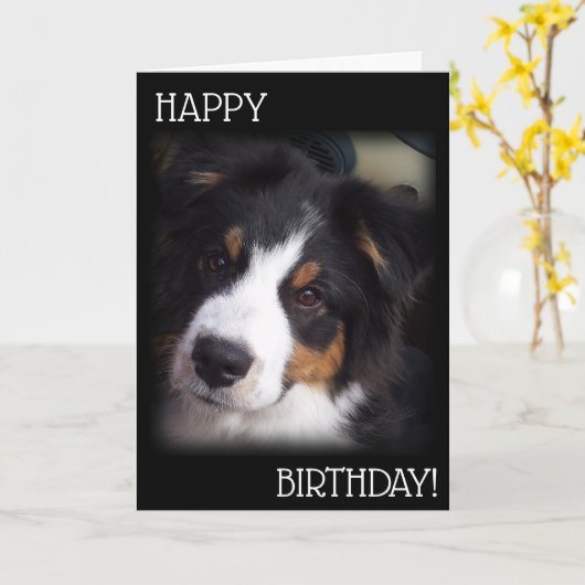 Die Aussie Dog Birthday Card A1 Karte (Gelbe Blume)