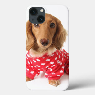 Die Ausstattung Dackel-Welpetragenden Valentines iPhone 13 Hülle