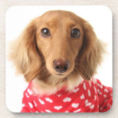 Die Ausstattung Dackel-Welpetragenden Valentines Getränkeuntersetzer (Vorderseite)