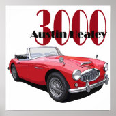 Die Austin Healey 3000 Poster (Vorne)