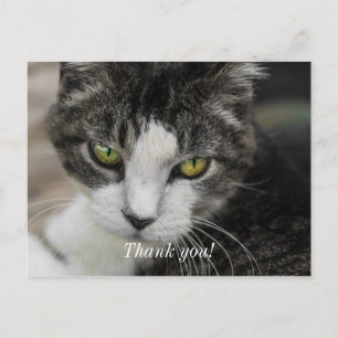 Die Baby-Blick-Danke-Postkarte Postkarte