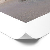 Die Bahamas Poster (Ecke)