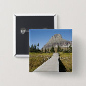 Die Bahn zur Ansicht von verstecktem See Button (Vorne & Hinten)