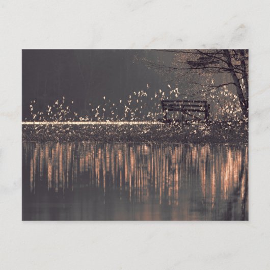 Die Bank am See in der goldenen, hellen Postkarte (Vorderseite)
