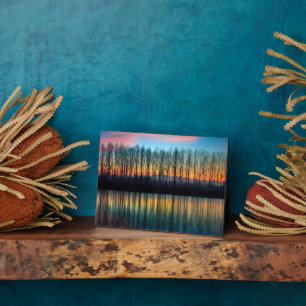 Die Bank der Po   Piemont Italien Fotoplatte