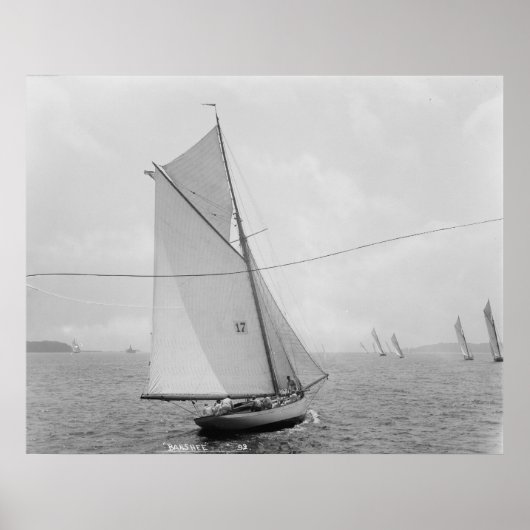 Die Banshee Poster (Vorne)