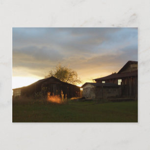 Die Barnen im Nachmittagssonne Postkarte