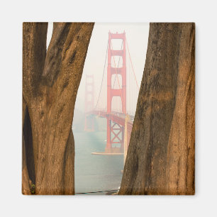 Die Bäume Golden gate bridges   von übersehen Magnet