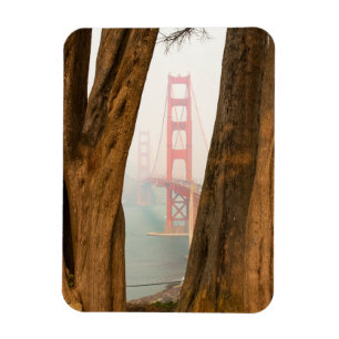 Die Bäume Golden gate bridges   von übersehen Magnet