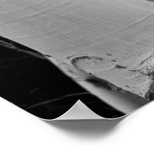 Die Bäume haben Augen Poster (Ecke)