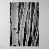 Die Bäume haben Augen Poster (Vorne)