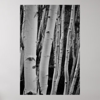 Die Bäume haben Augen Poster