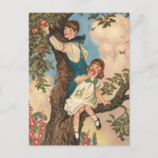 Die Baumkletterer Postkarte (Vorderseite)