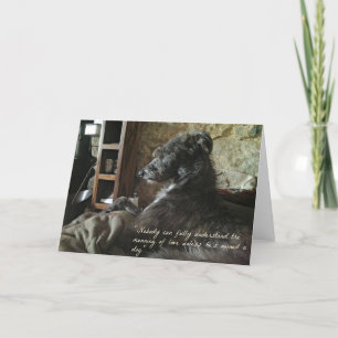 Die Bedeutung der Hunde-Liebe-Karte Karte