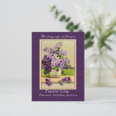 Die Bedeutung der Lilac Postkarte (Stehend Vorderseite)