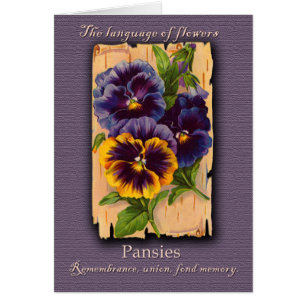 Die Bedeutung des Pansy