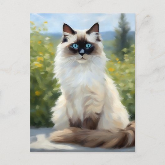 Die beeindruckende Ruhe der Ragdoll Postkarte (Vorderseite)