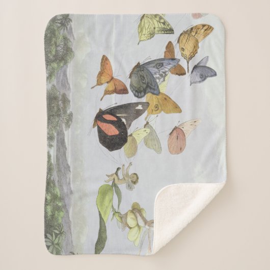 Die Beförderung der Märchenkönigin | Elf World Sherpadecke (Vorderseite)