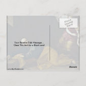 Die Befreiung des heiligen Peter durch Jusepe de R Postkarte (Rückseite)
