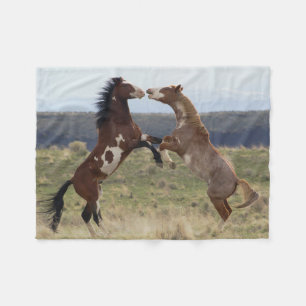 Die Bekämpfung der Hengste, die Steengebirge, Oreg Fleecedecke