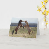 Die Bekämpfung der Hengste, die Steengebirge, Oreg Karte (Gelbe Blume)