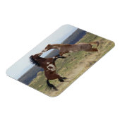 Die Bekämpfung der Hengste, die Steengebirge, Oreg Magnet (Linke Seite)