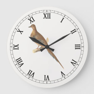 Die beklagende Taube (Carolina Turtle Dove) NY Vög Große Wanduhr