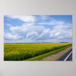 Die belarussische Straße Canola erobert Blume Poster
