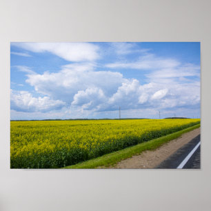 Die belarussische Straße Canola erobert Blume Poster
