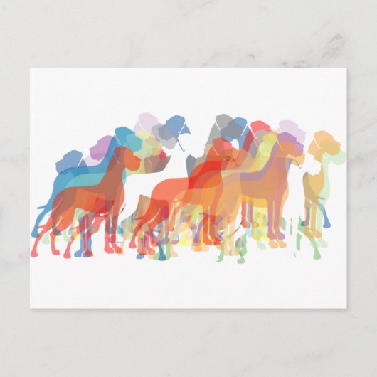 die beliebten Dänen Postkarte (Vorderseite)