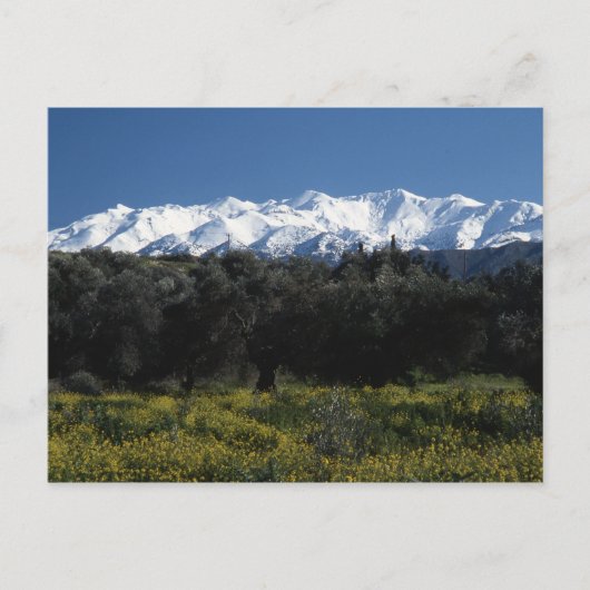 Die Berge Kretas Postkarte (Vorderseite)