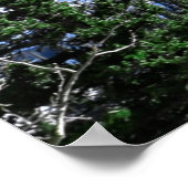 Die Berge rufen und ich muss gehen Poster (Ecke)