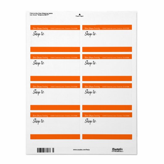 Die Beruflichen klassischen, modernen Streifen (Vorne)