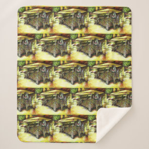 Die Besitzergreifung der Optik Sherpadecke