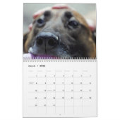 Die beste Freundin des Menschen Fotografie und Kun Kalender (Mär 2026)